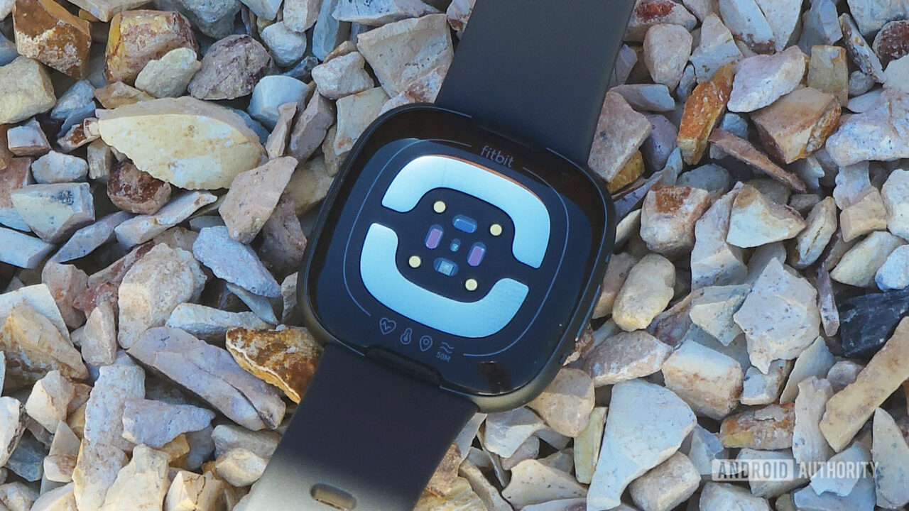 Which Fitbit Wearables Have Fall Detection Features Android Authority