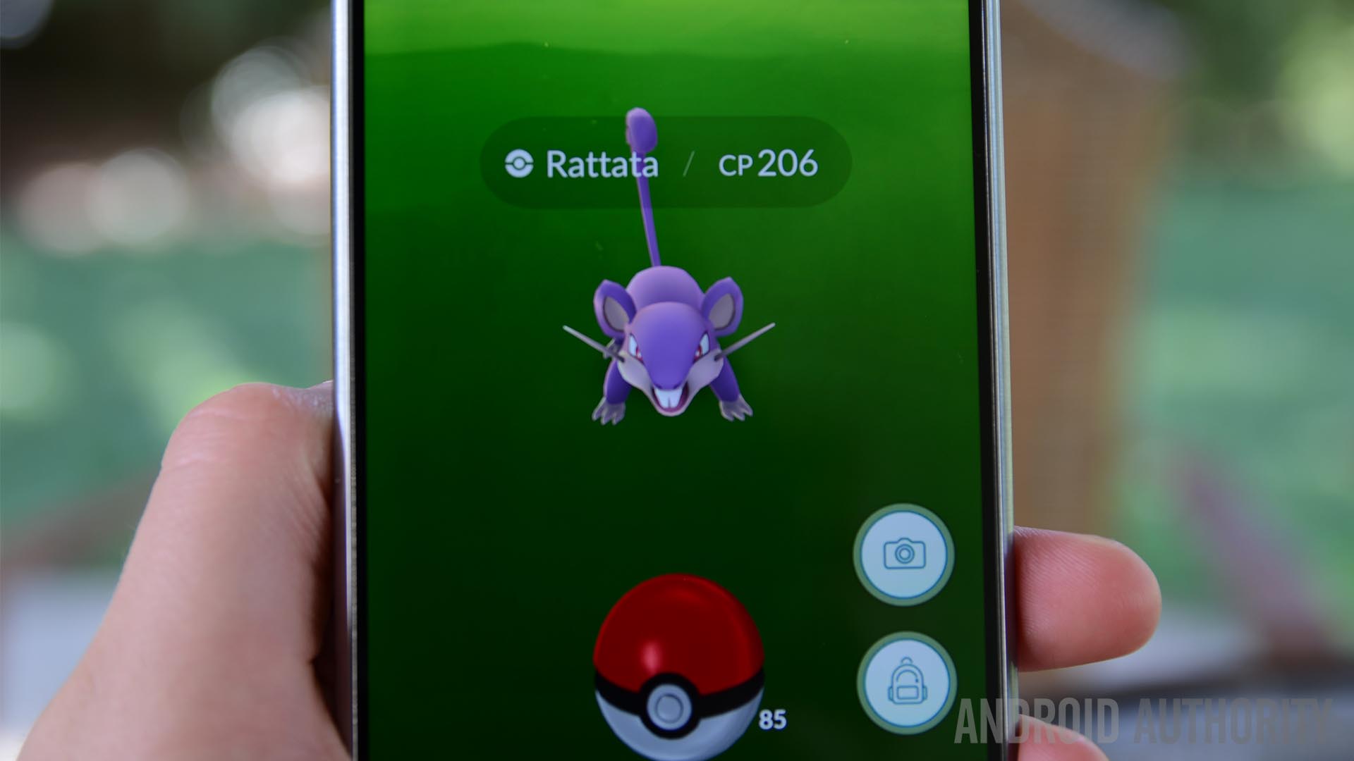 How To Track Pokemon In Pokemon Go Android Authority