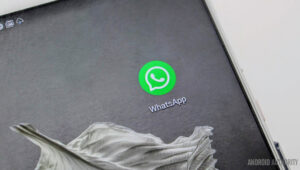 What Do The WhatsApp Checkmarks Mean? - Android Authority