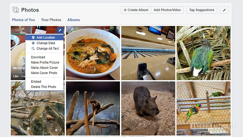 A screenshot of Facebook's photo deletion