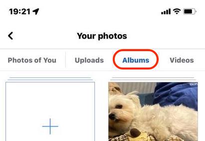 facebook ios albums