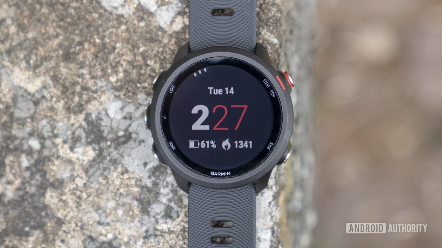 Garmin Forerunner 245 Music review: Still a great buy in 2021