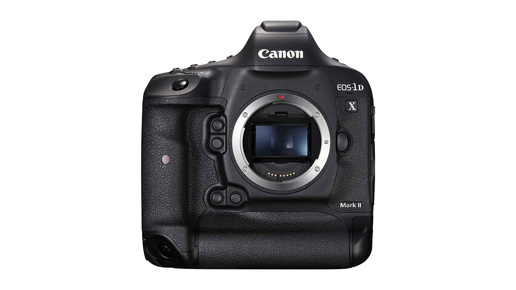 best dslr professional camera 2020