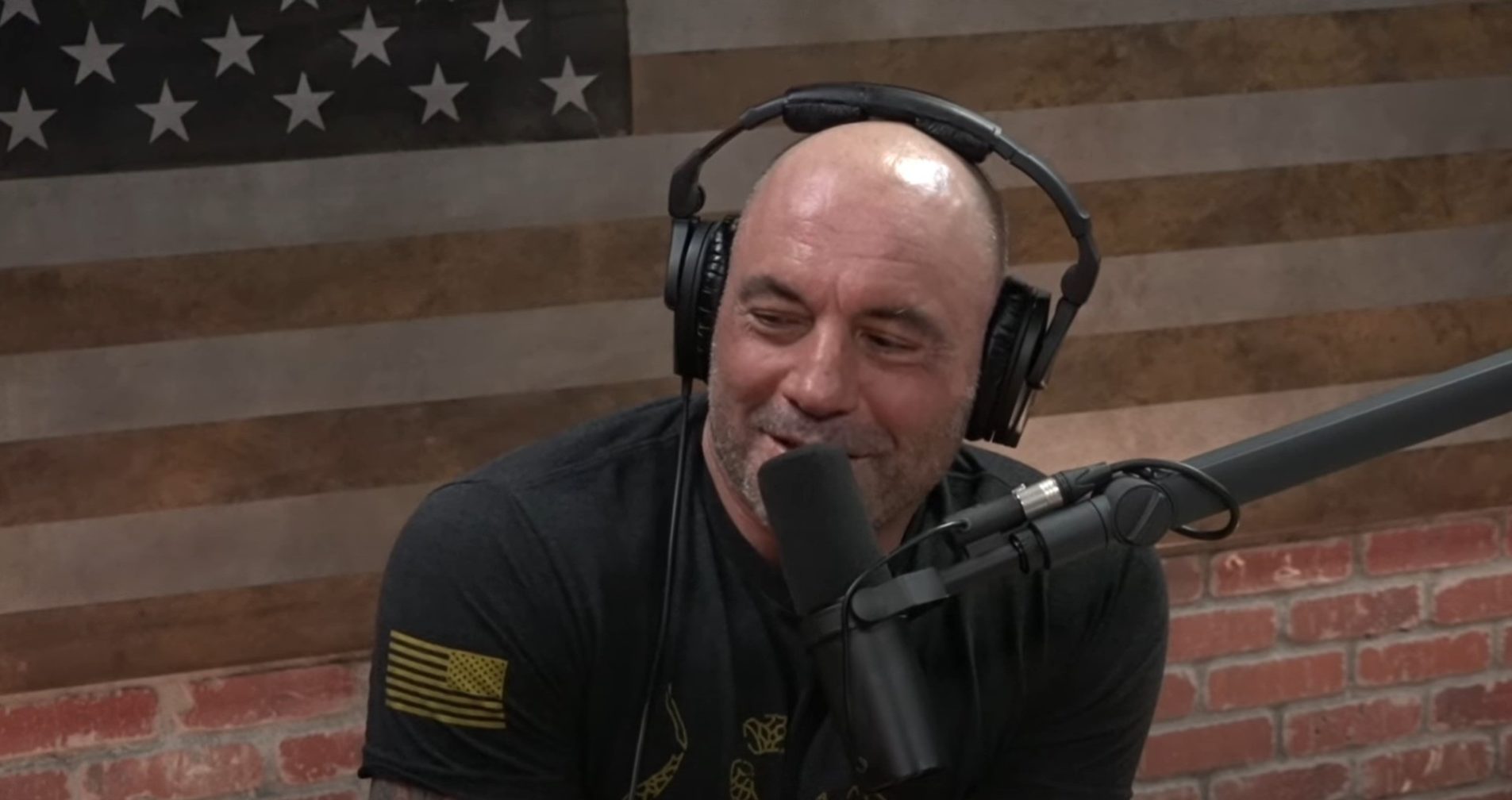 Læs På kanten omfattende The best Joe Rogan podcasts you can listen to in 2023 - Android Authority