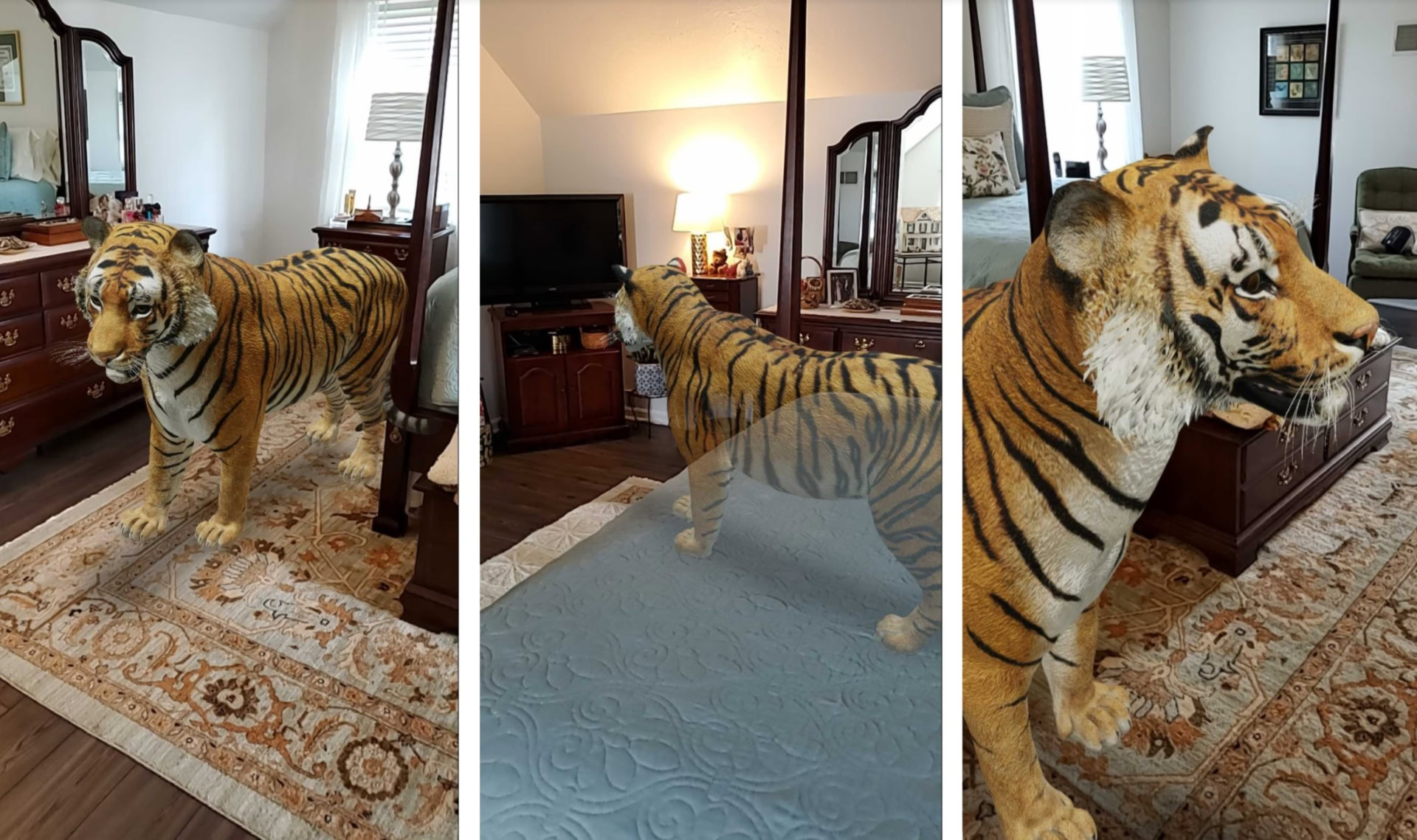 Google 3D Animals: How to put a tiger and more in your bedroom