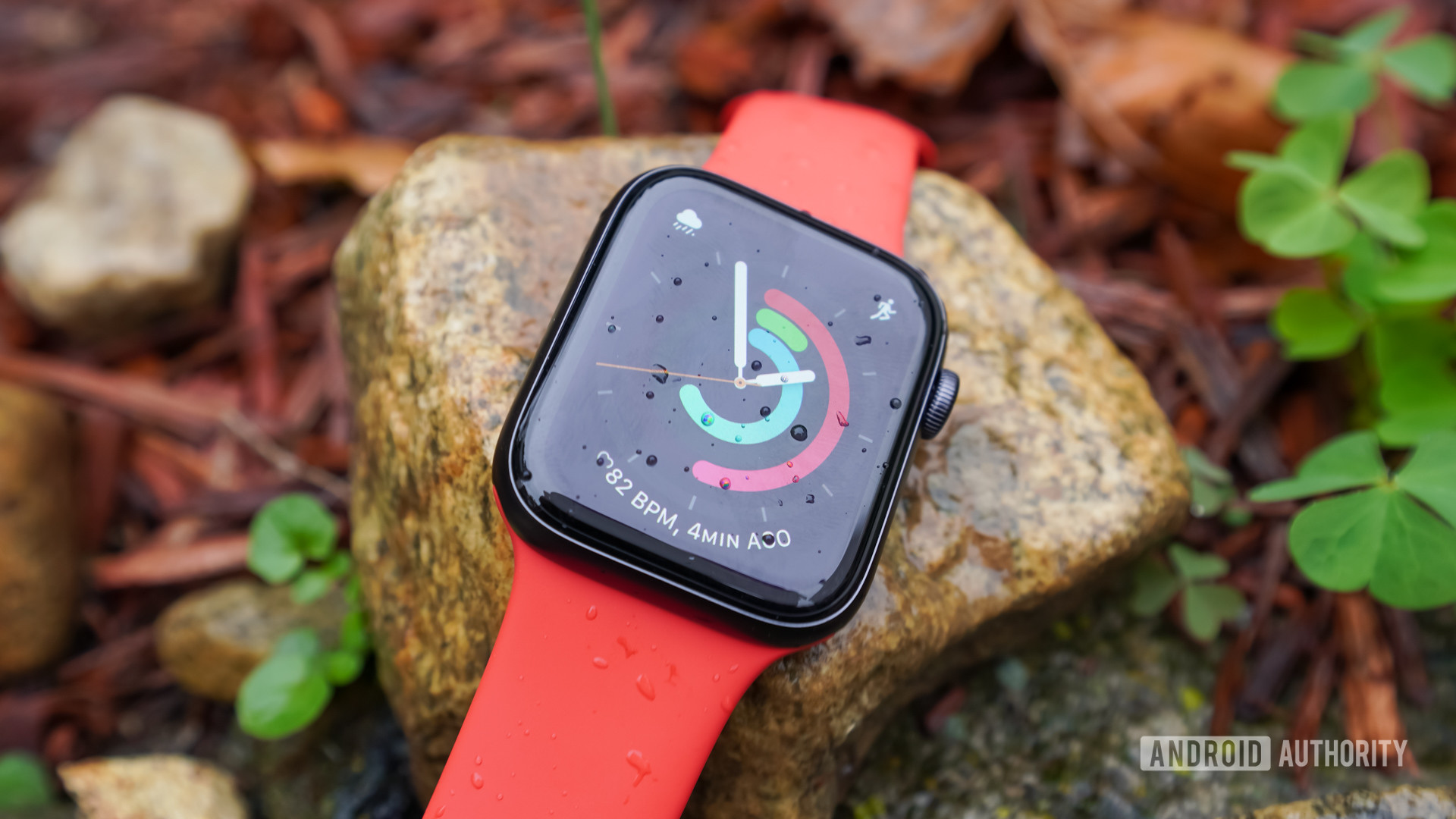 Apple Watch SE review: The smartwatch for the masses