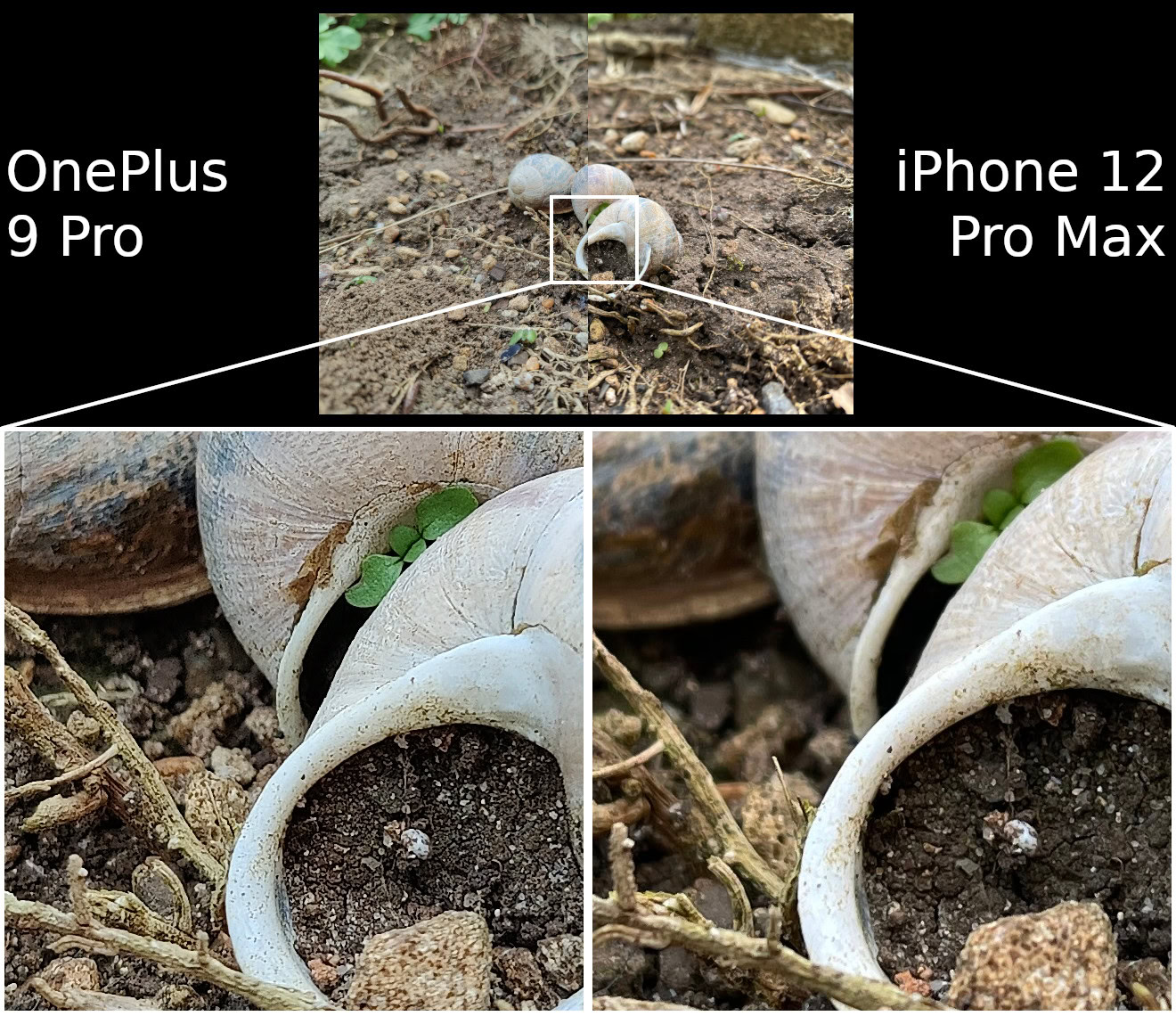 Camera shootout: OnePlus 9 Pro vs Apple iPhone 12 Pro Max