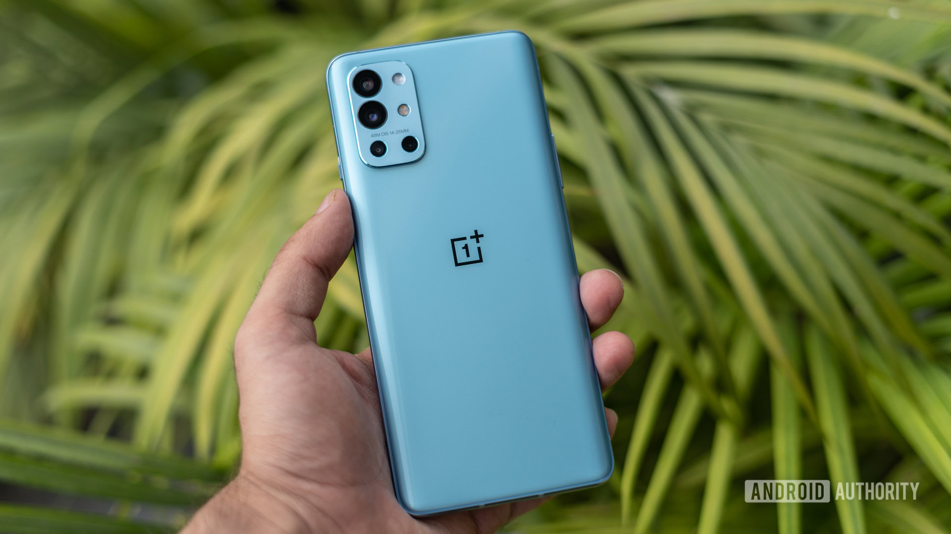 Oneplus 9 Series Buyer S Guide What You Need To Know Android Authority