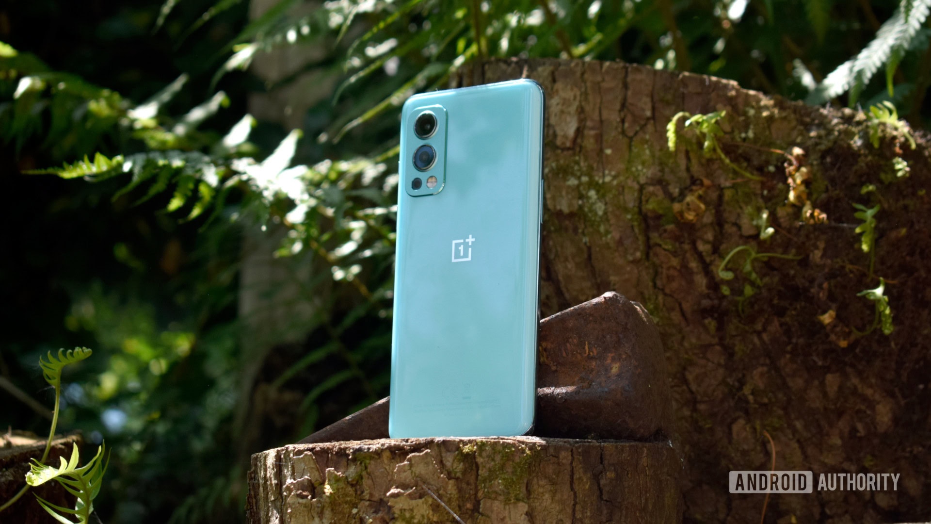 OnePlus Nord 2T 5G hands-on review -  tests