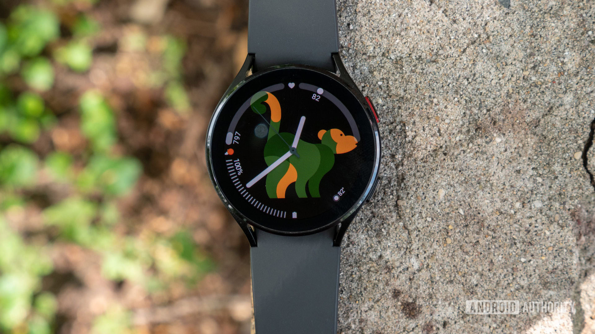 Galaxy Watch 4 review: welcome to Samsung's garden - The Verge