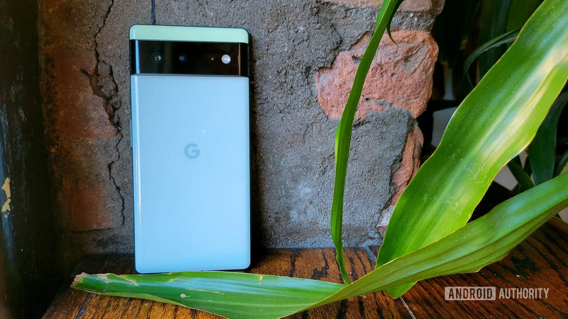 The best Google Pixel 6 cases you can get (2023) - Android Authority
