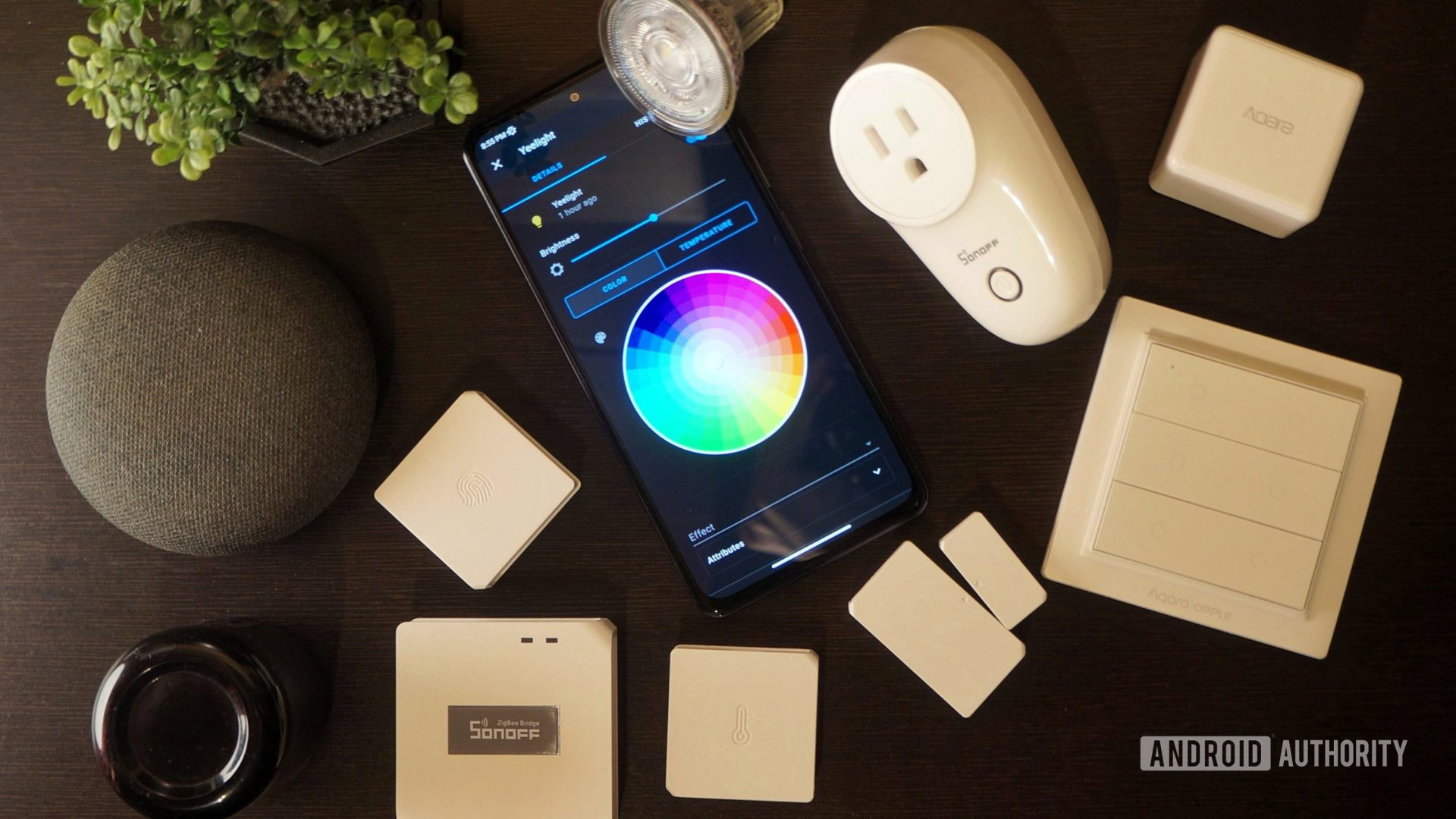 If You Get Only One Smart Home Device, Please Make It This One