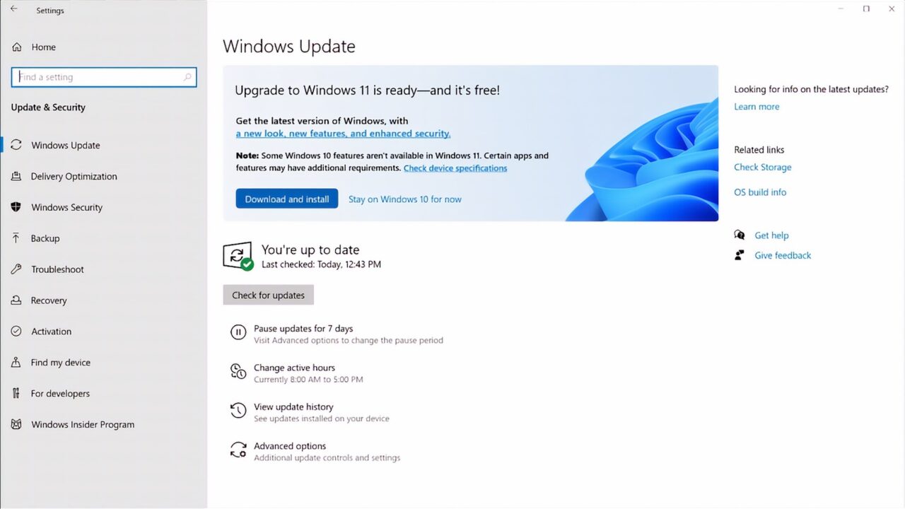 How to install Windows 11: Guide to Windows Update, ISOs, and more