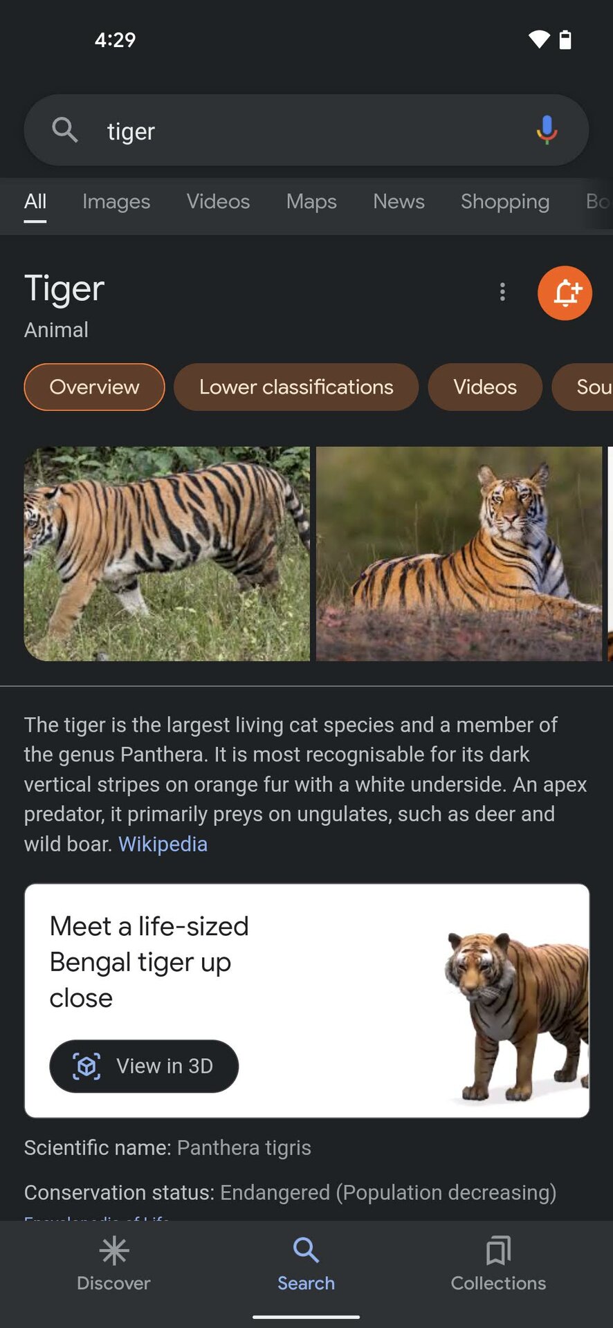 How to Use Google's View in 3D Feature to See Animals
