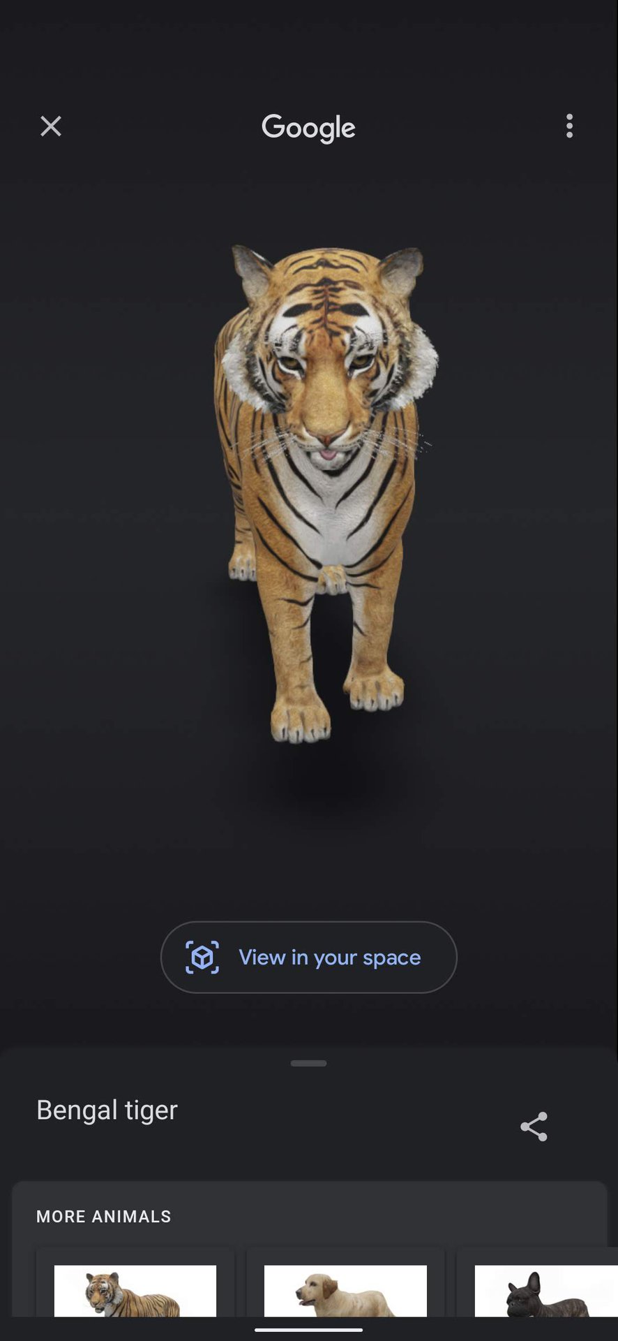 How to See Google 3D AR Animals : Watch Tiger In Bedroom 