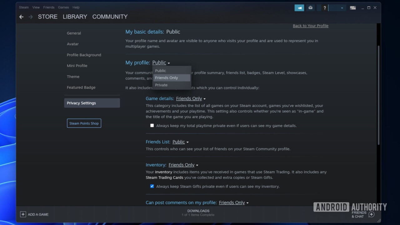 How to hide Steam games and profile activity - Android Authority