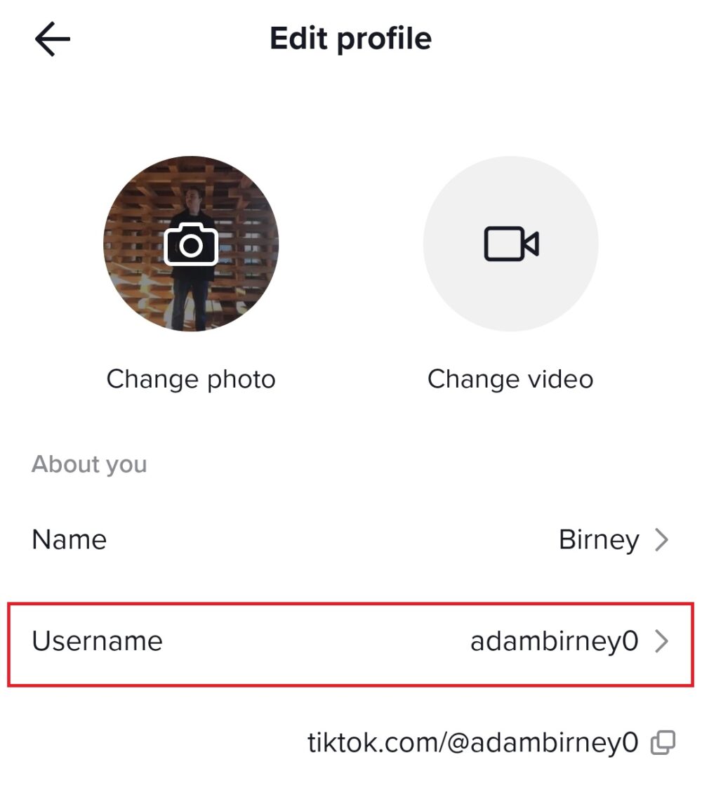 How to change your TikTok username and nickname Android Authority