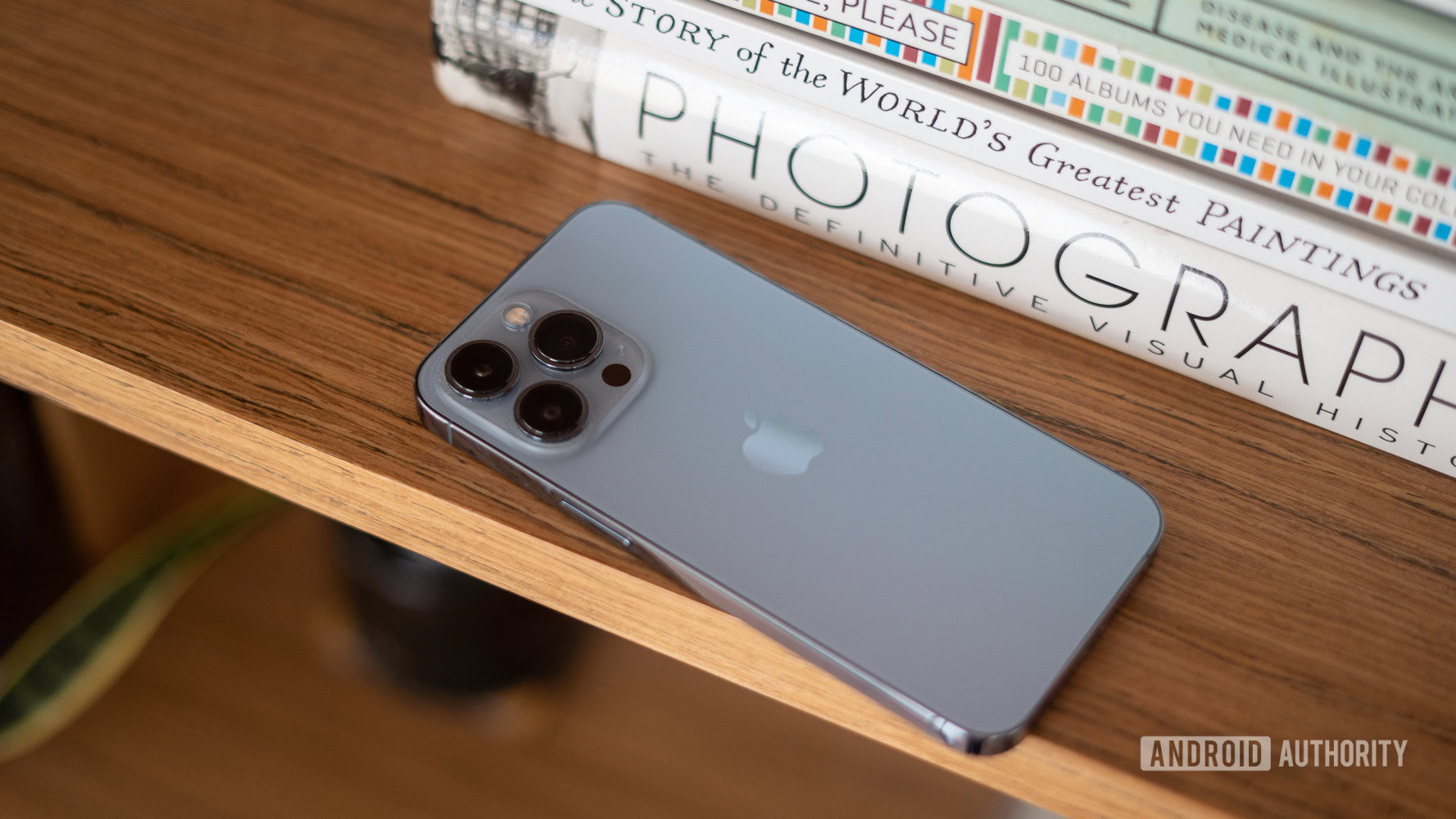 I bought the iPhone 13 Pro Max instead of the iPhone 13 Pro — here's why