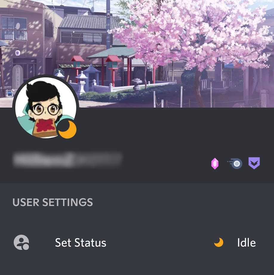 What does idle mean and how do you set it on Discord? - Android Authority