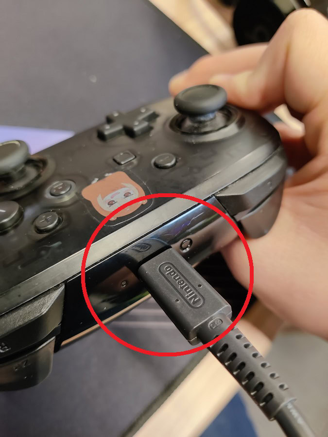 Switch Pro controller on PC: Bluetooth guide