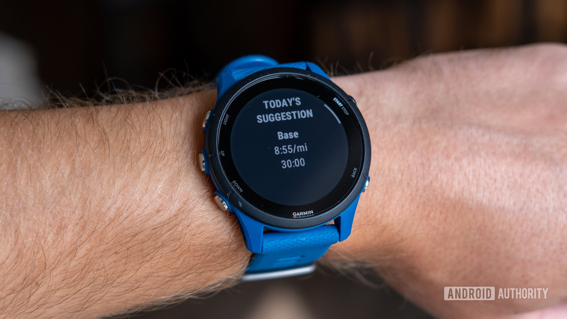 REVIEW: Garmin Forerunner 255 - Read all about the watches here -  Inspiration
