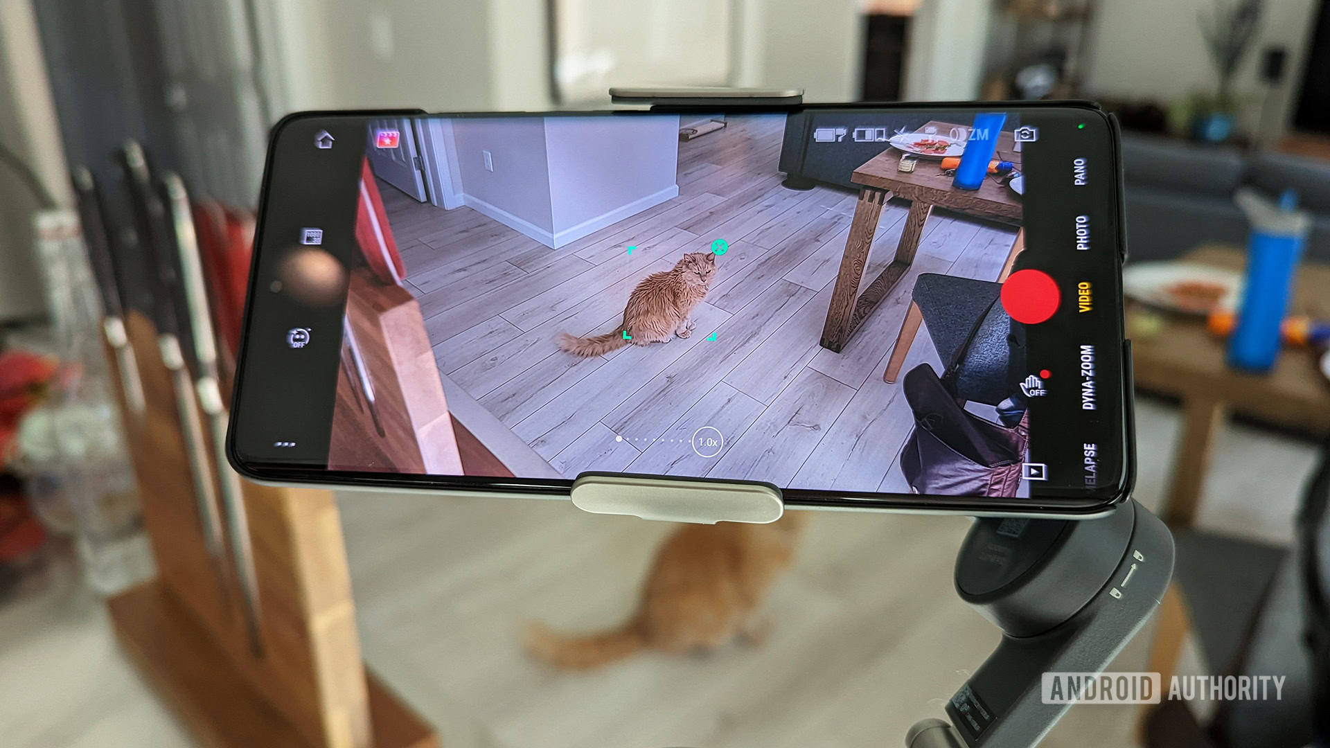 The DJI Osmo Mobile 6 comes with an exclusive feature for iPhone users 