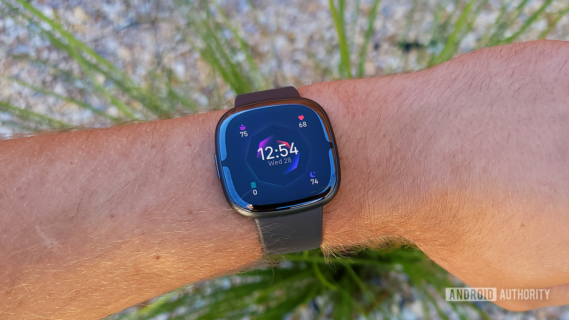 https://www.androidauthority.com/wp-content/uploads/2022/09/Fitbit-Sense-2-Review-Default-Watch-Face-With-Grass-In-Background.jpg