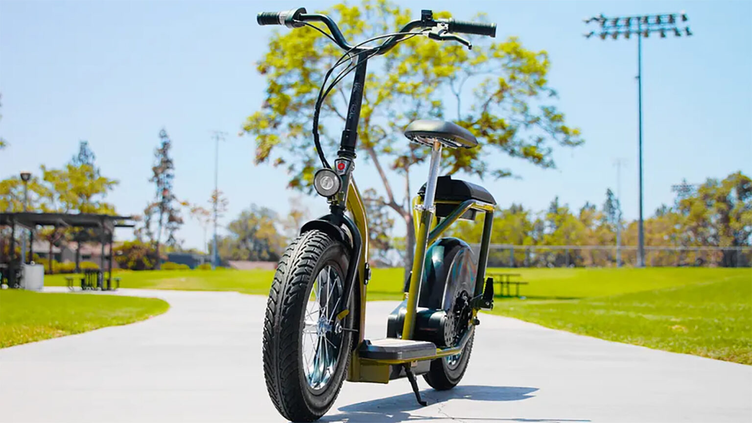 ecosmart bike