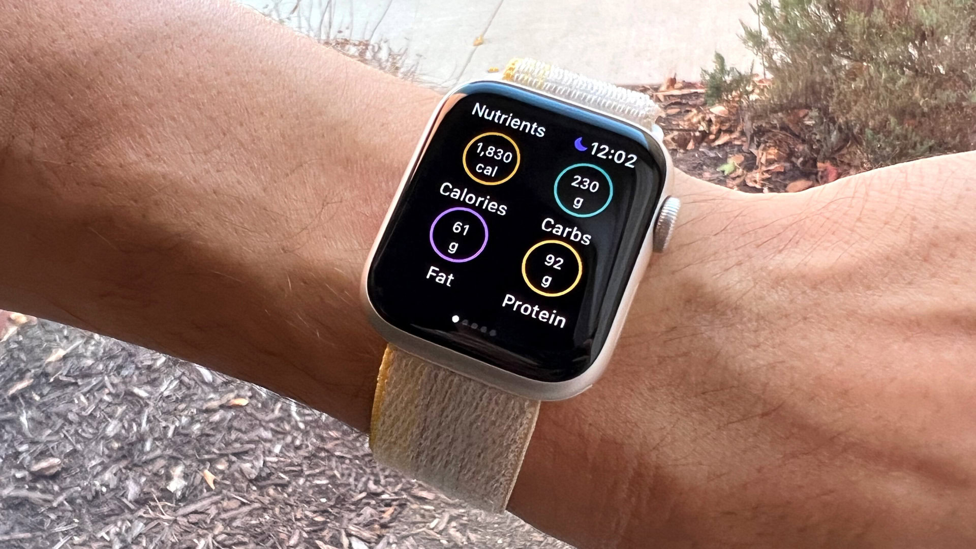 https://www.androidauthority.com/wp-content/uploads/2022/11/Apple-Watch-SE-MyFitnessPal-scaled.jpg