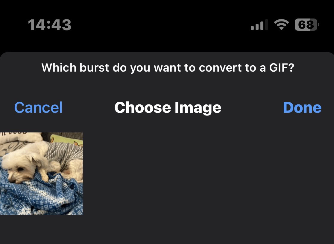 How to Make a GIF on iPhone and iPad (2022)
