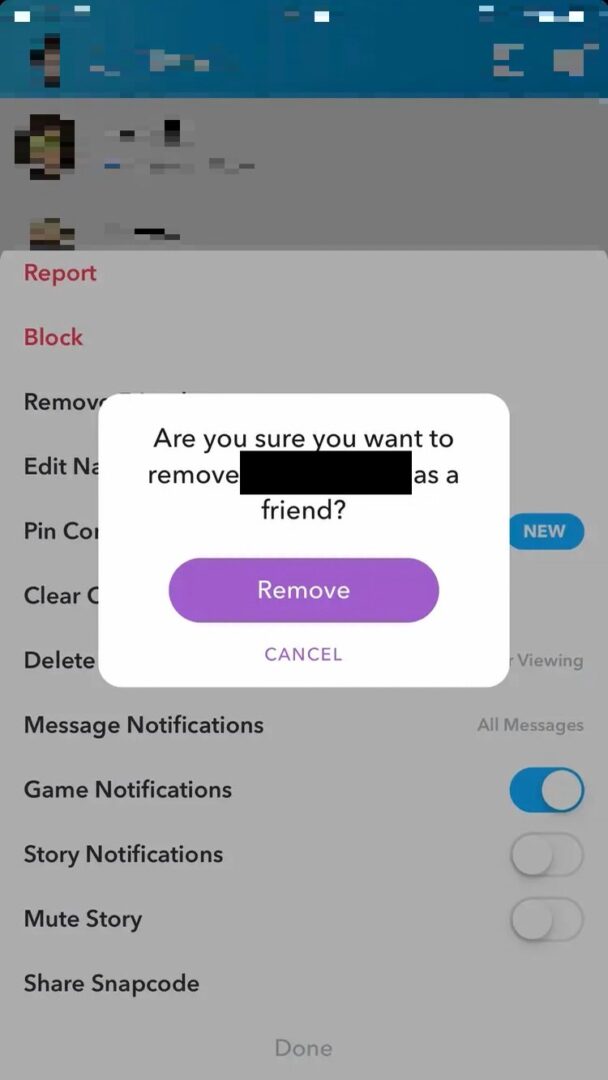 if you remove friend on snapchat can they see your story