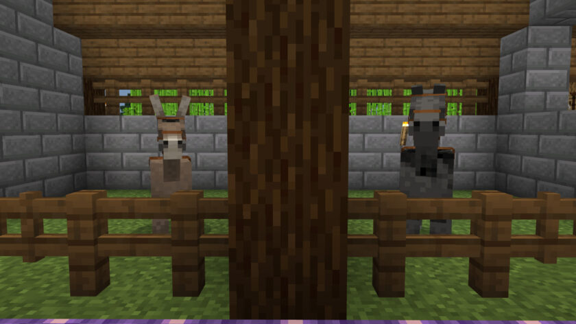 How To Breed Horses, Donkeys, And Mules In Minecraft - Android Authority