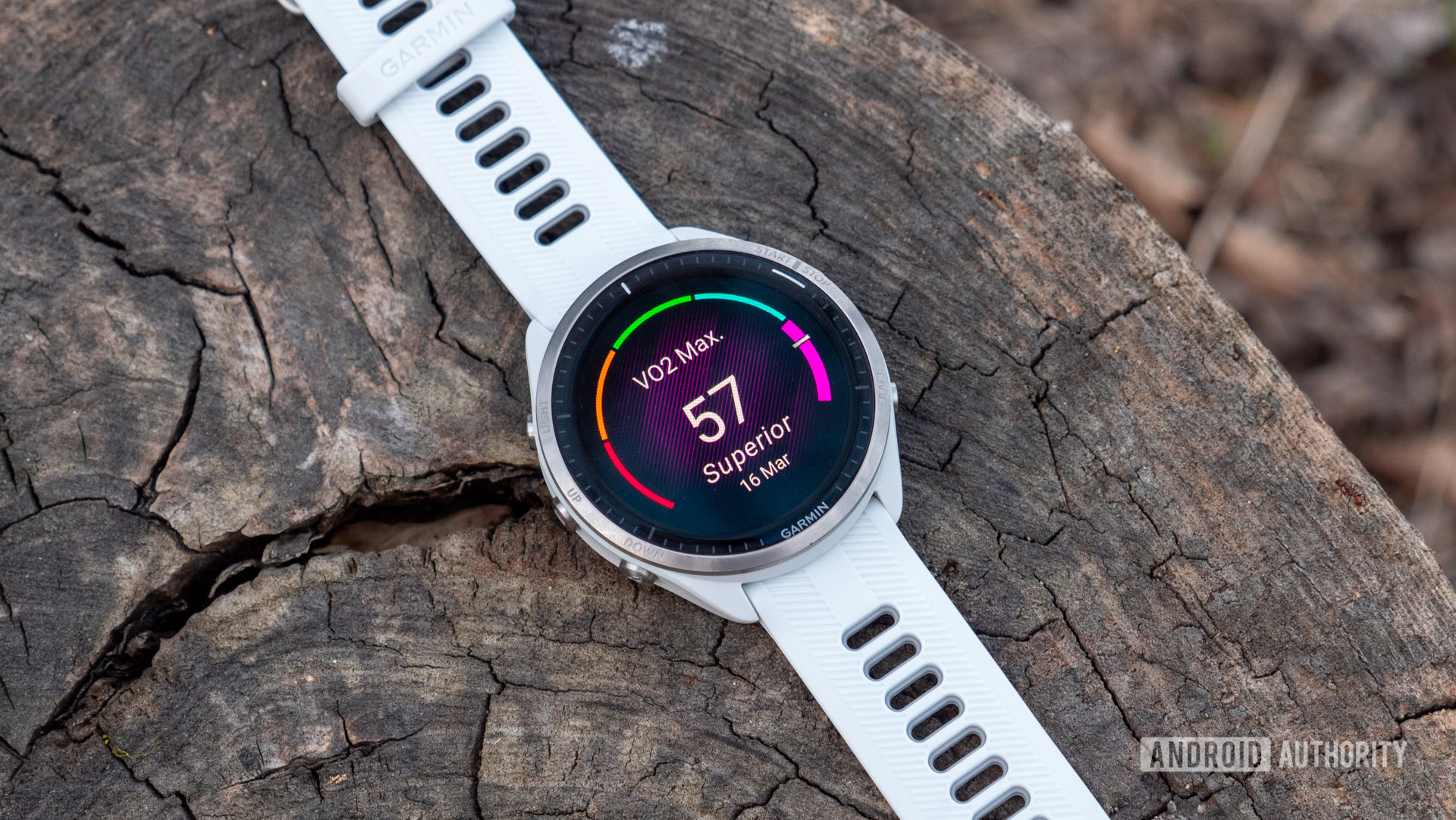 Forerunner 965, Colorful AMOLED, Lightweight, Front of the Pack, Runner, Which Watch