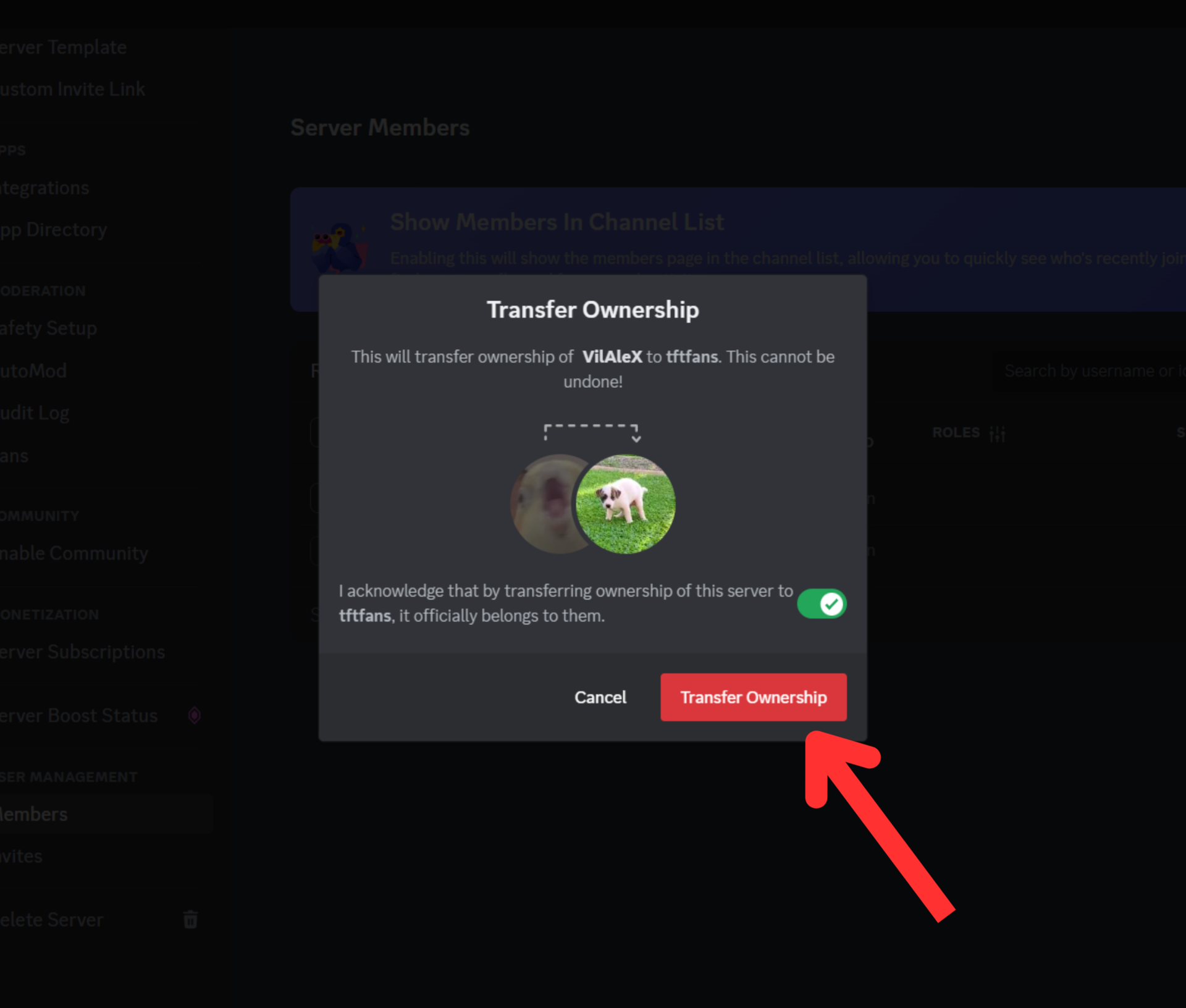 New Option in the Server Member List Area – Discord