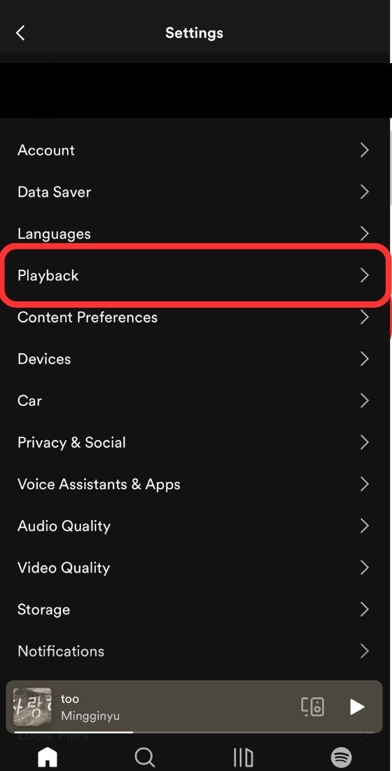 spotify playback