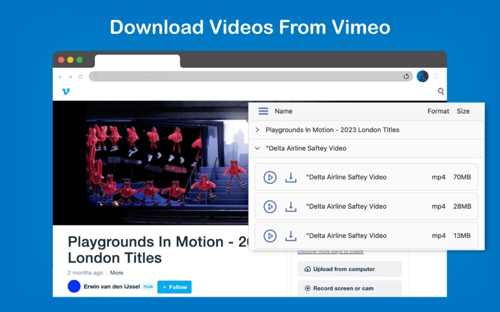 video downloader professiona