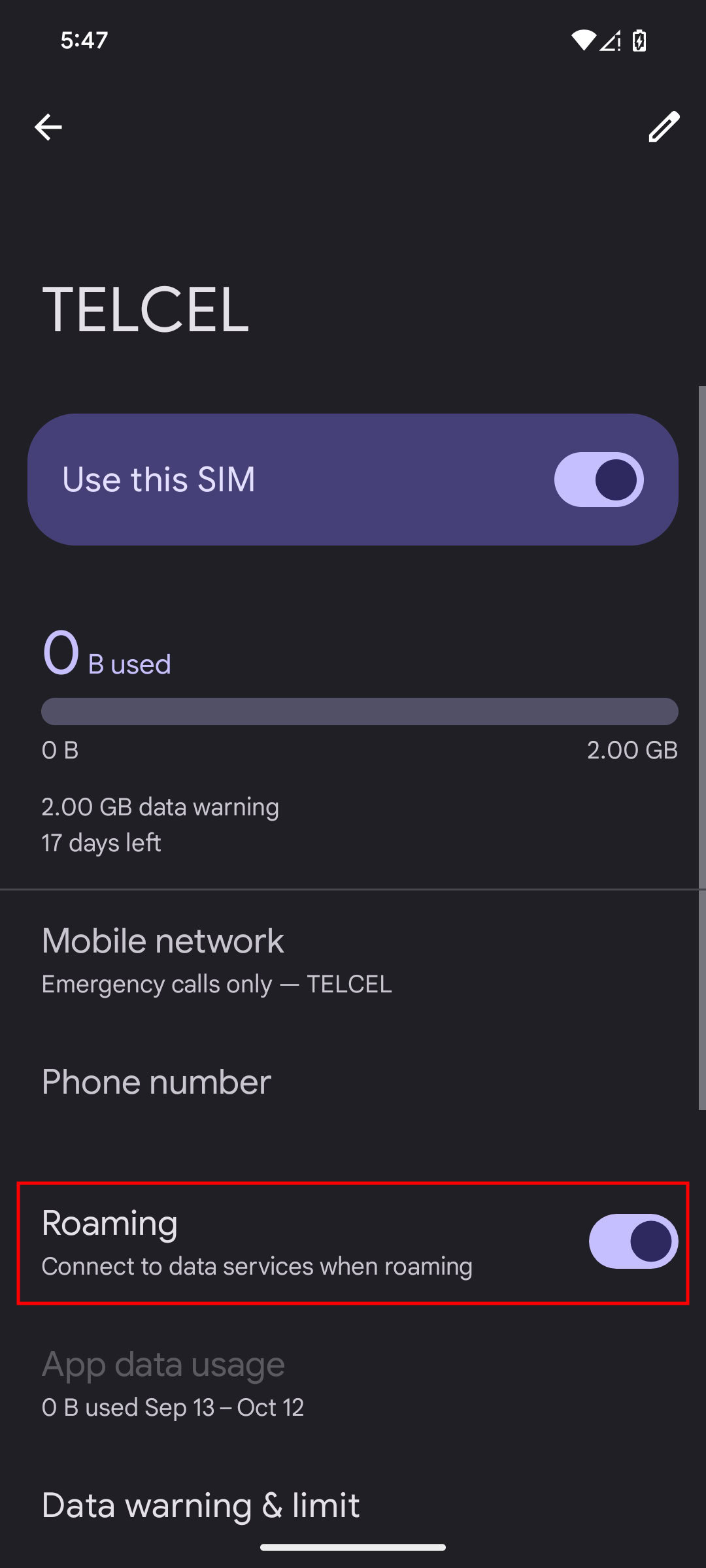 How to turn on mobile data on Android 15 (4)