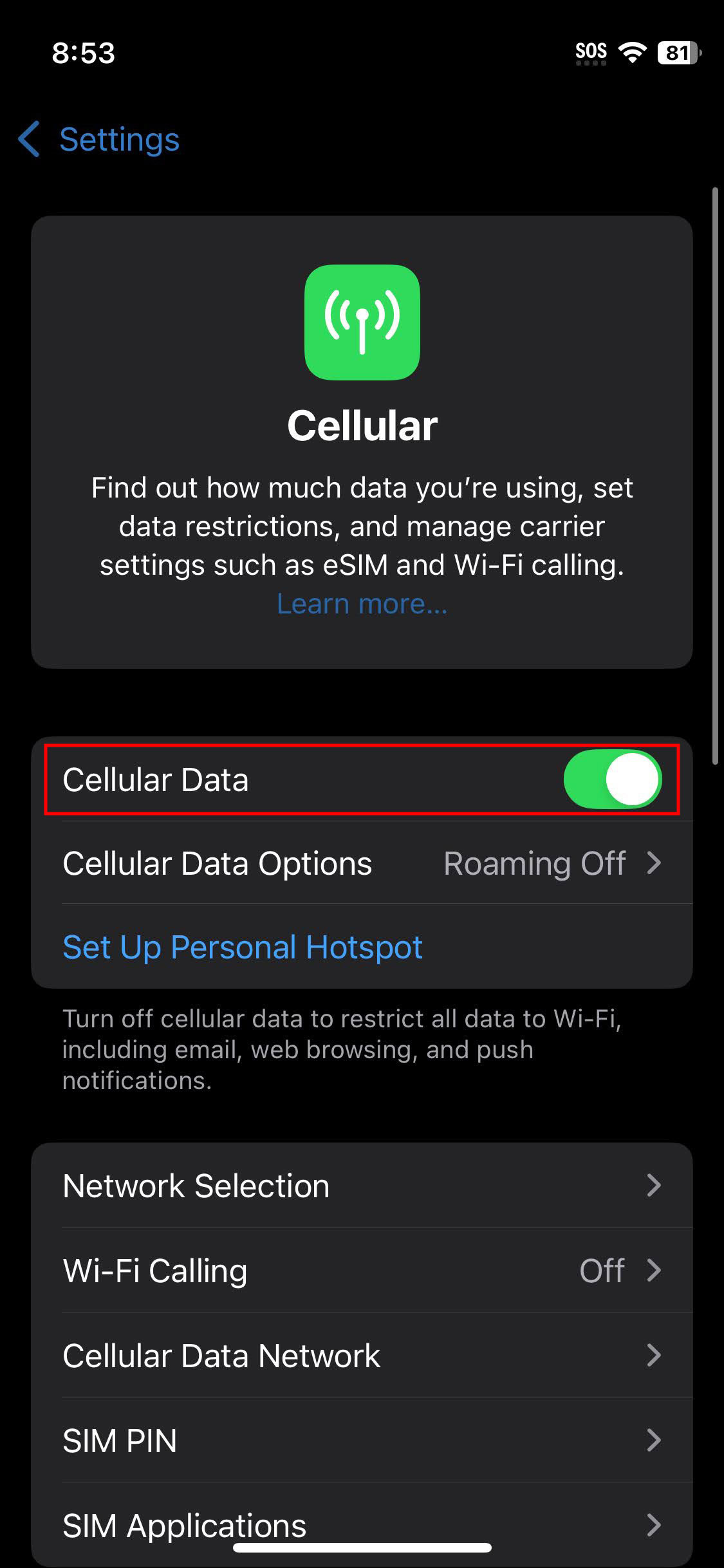 How to turn on mobile data on iOS 18 (2)