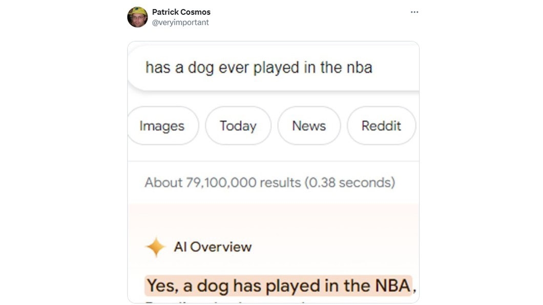 Google AI Overview Dog In NBA Post X