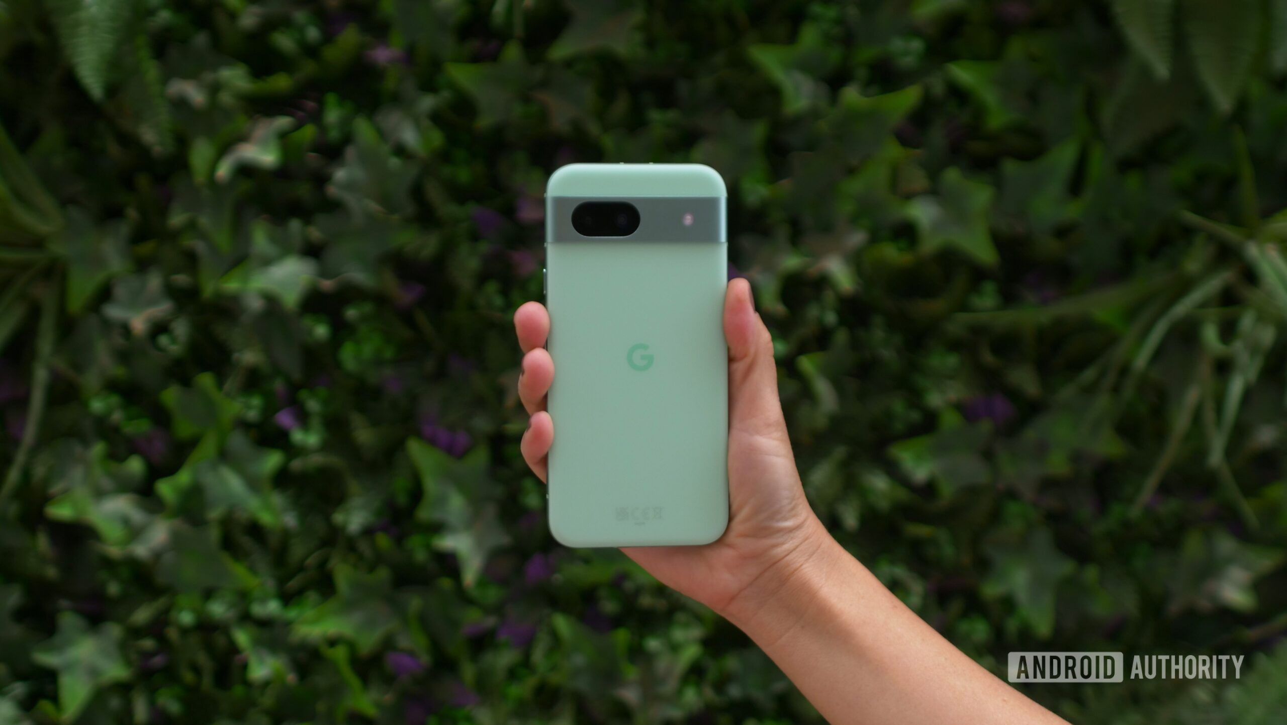 Google Pixel 8a in hand alow leaf background