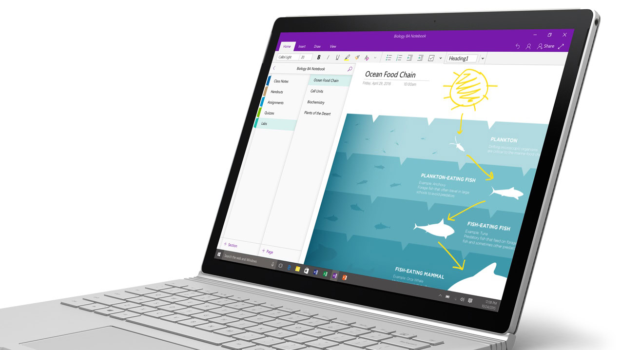 Microsoft OneNote could finally get this long awaited feature (APK teardown)