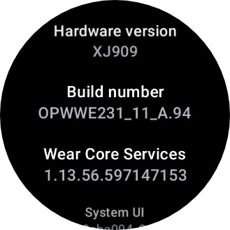 OnePlus Watch 2 new update
