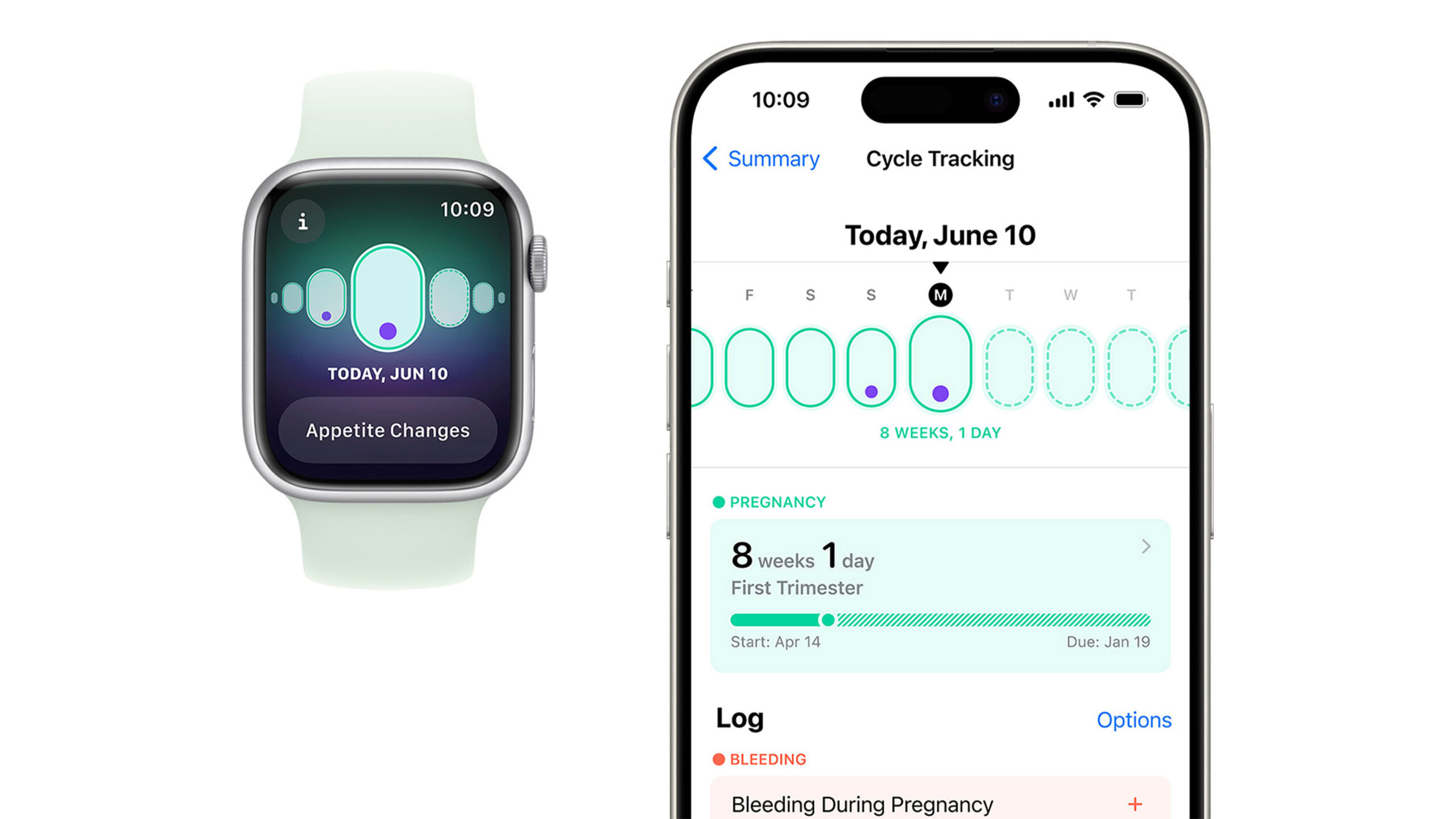 Apple Watch Pregnancy Tracking