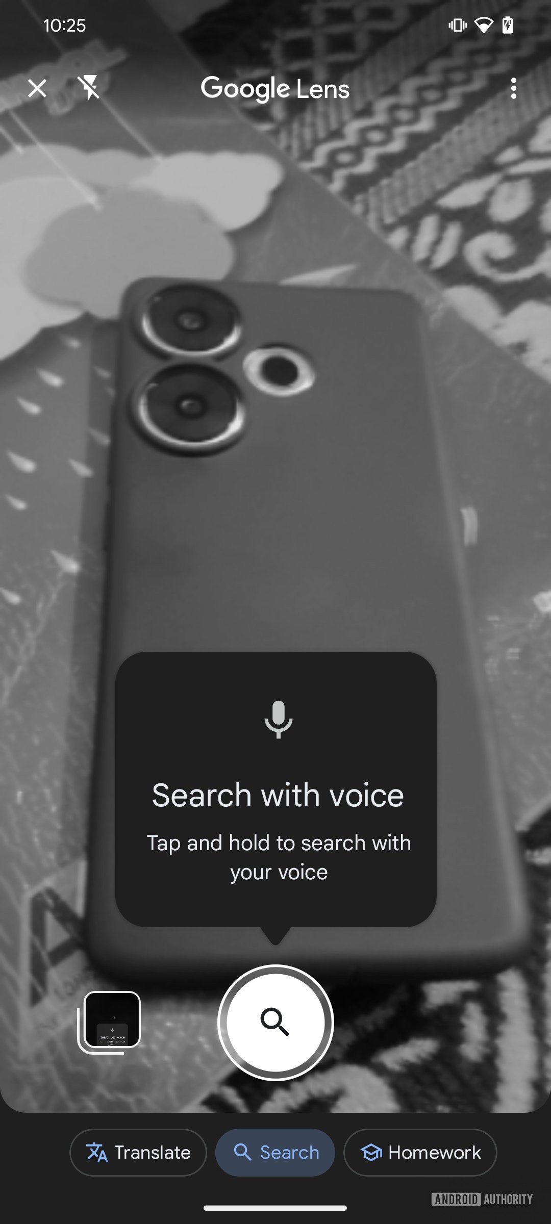 Google Lens Search with Voice