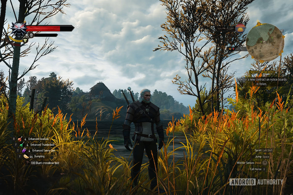 The Witcher 3 - Auto SR Off