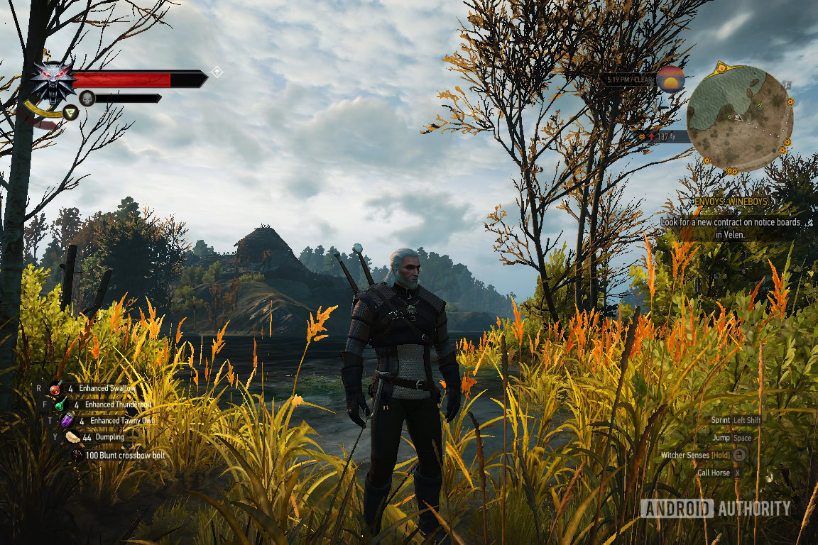 The Witcher 3 - Auto SR On