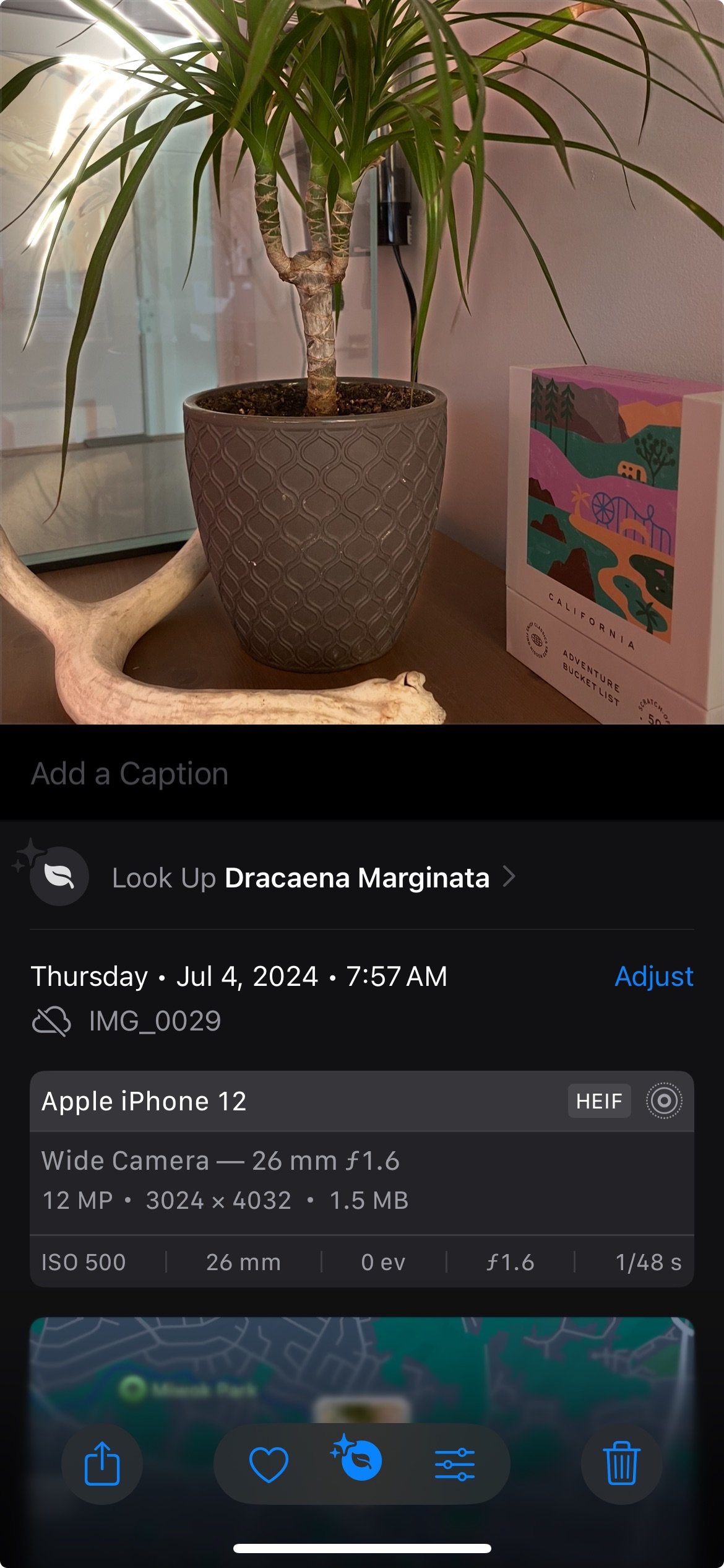 Original iPhone Photo Details Before Sending in Messages