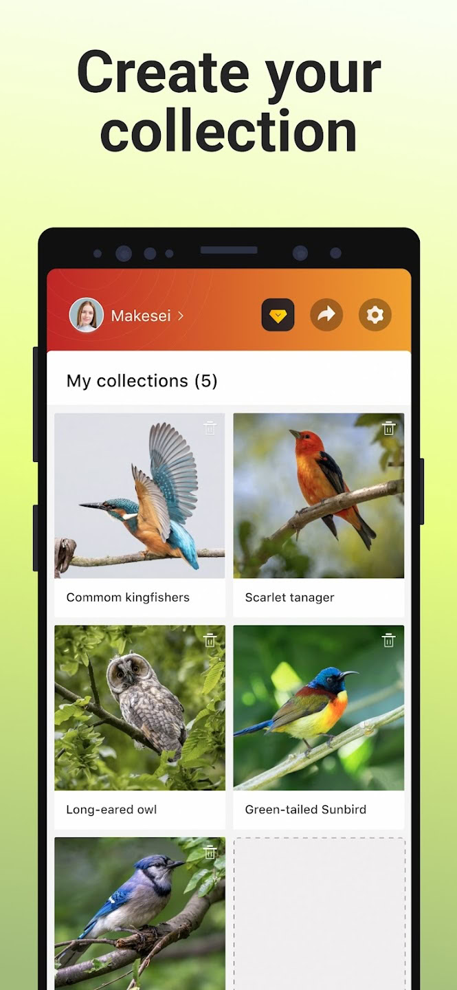 Picture Bird Android app screen 01