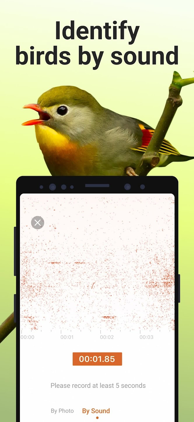 Picture Bird Android app screen 02