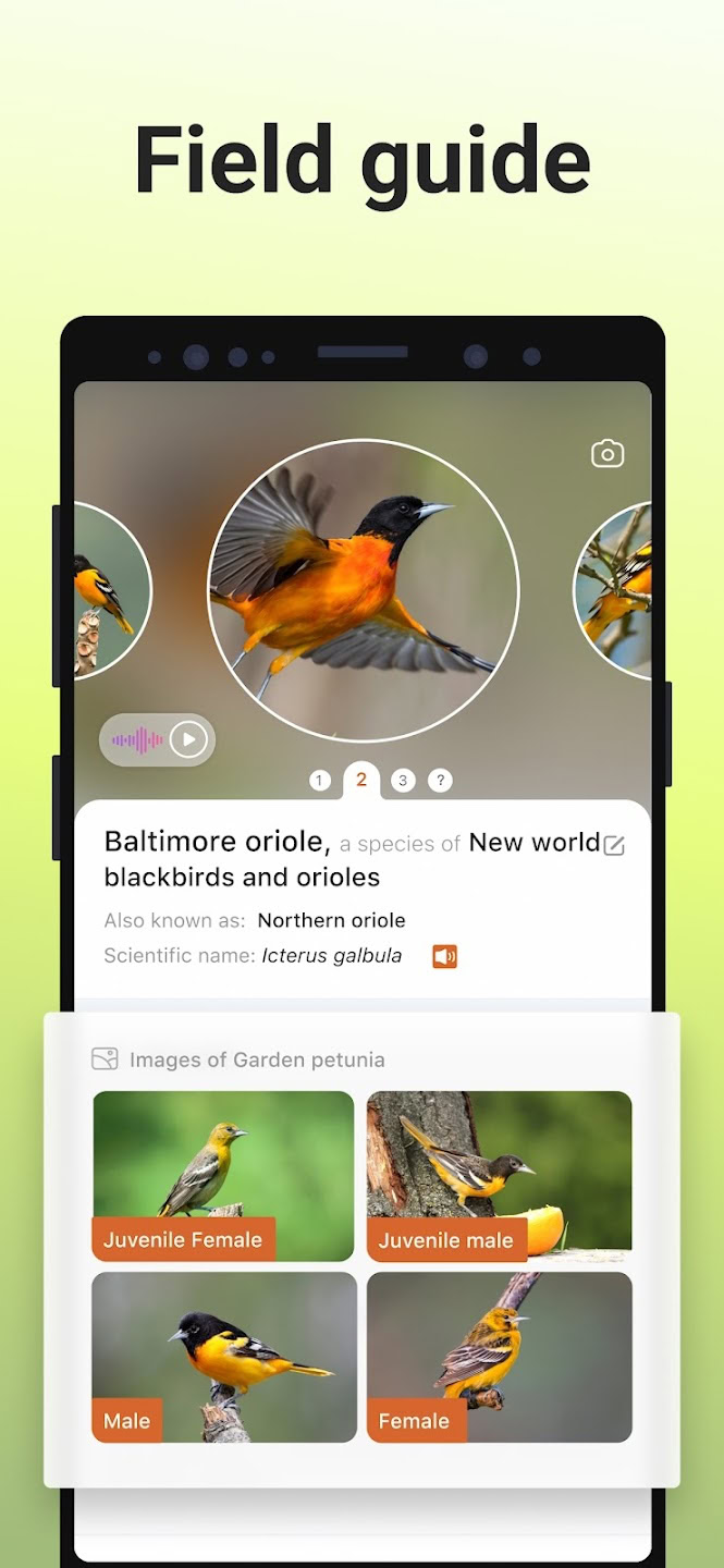Picture Bird Android app screen 03